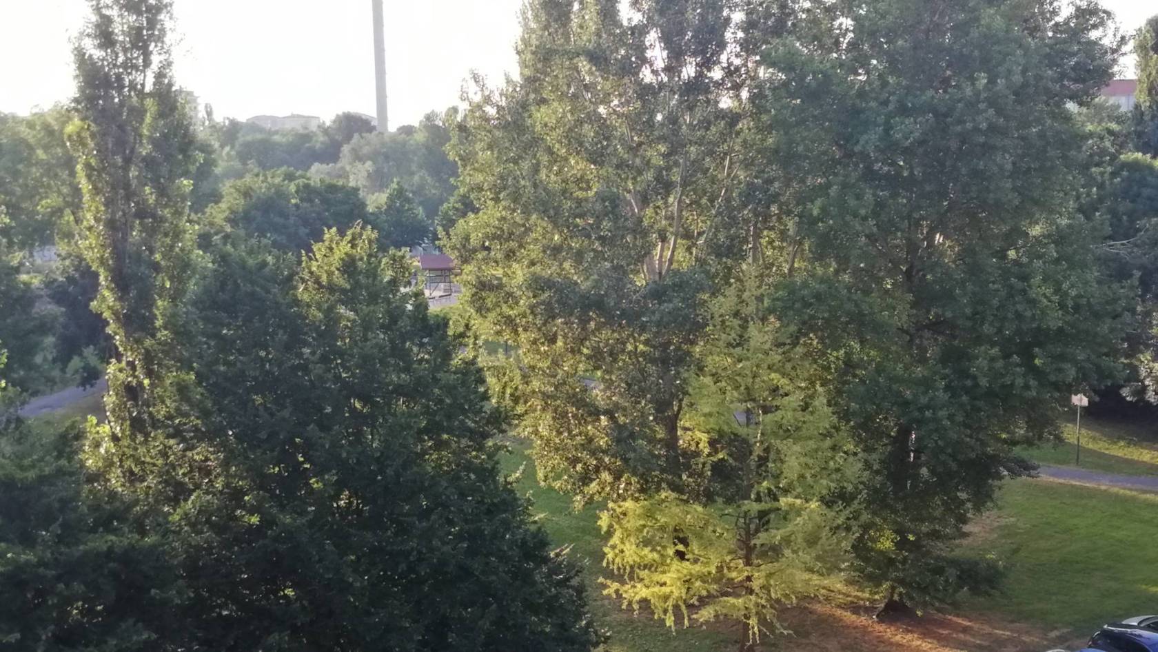 Vista