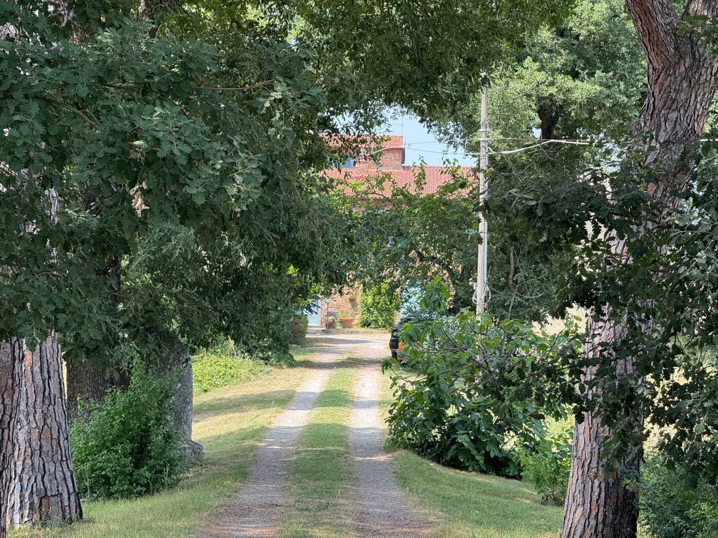 Giardino