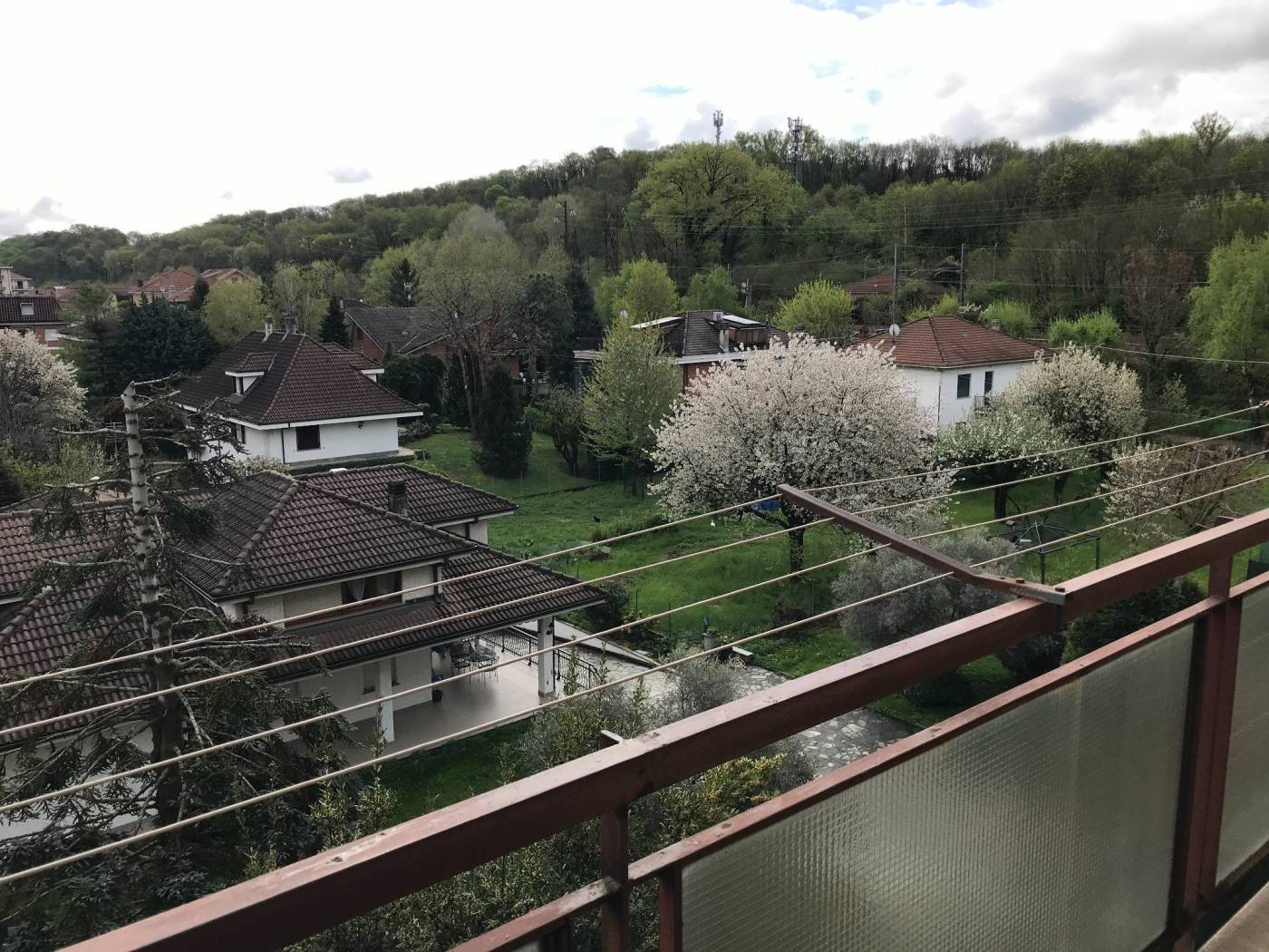 Vista