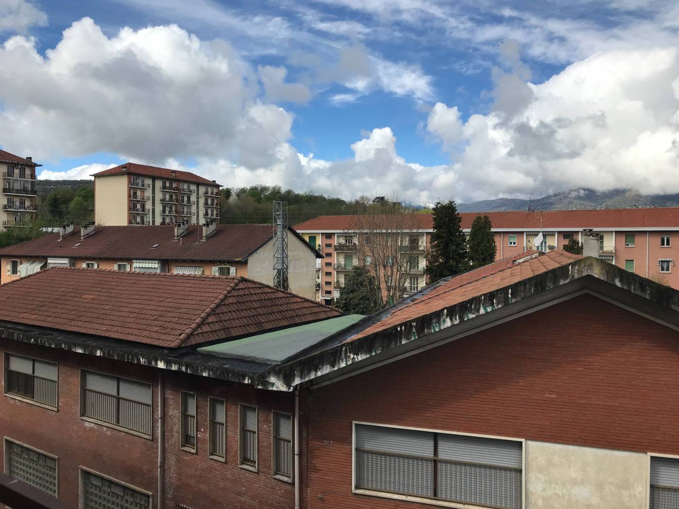 Vista