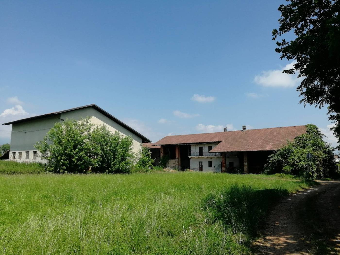 Vista