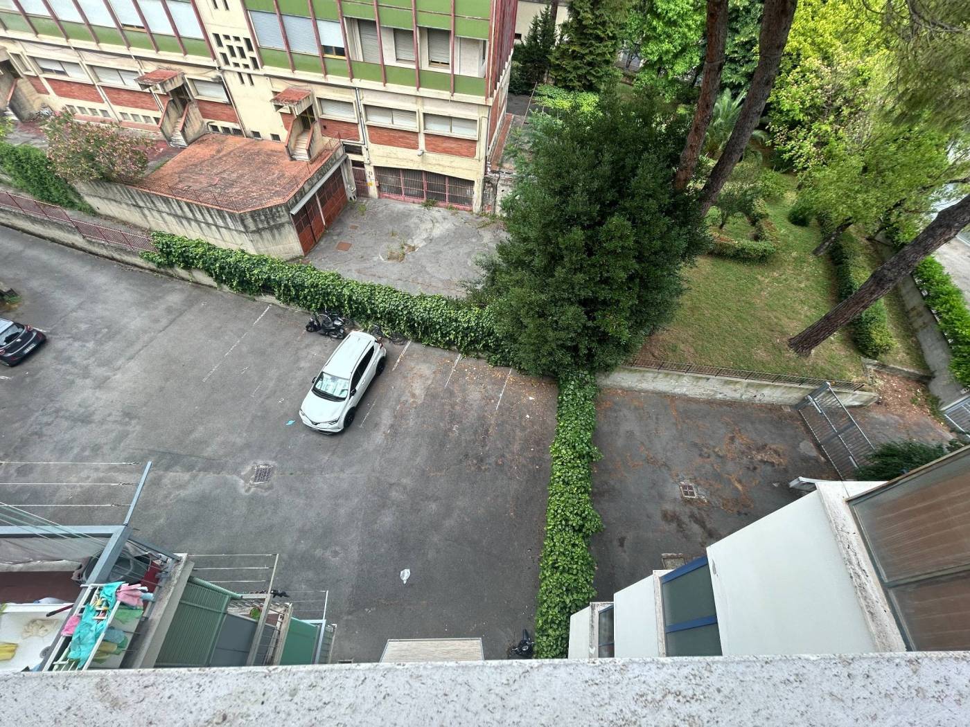 Vista
