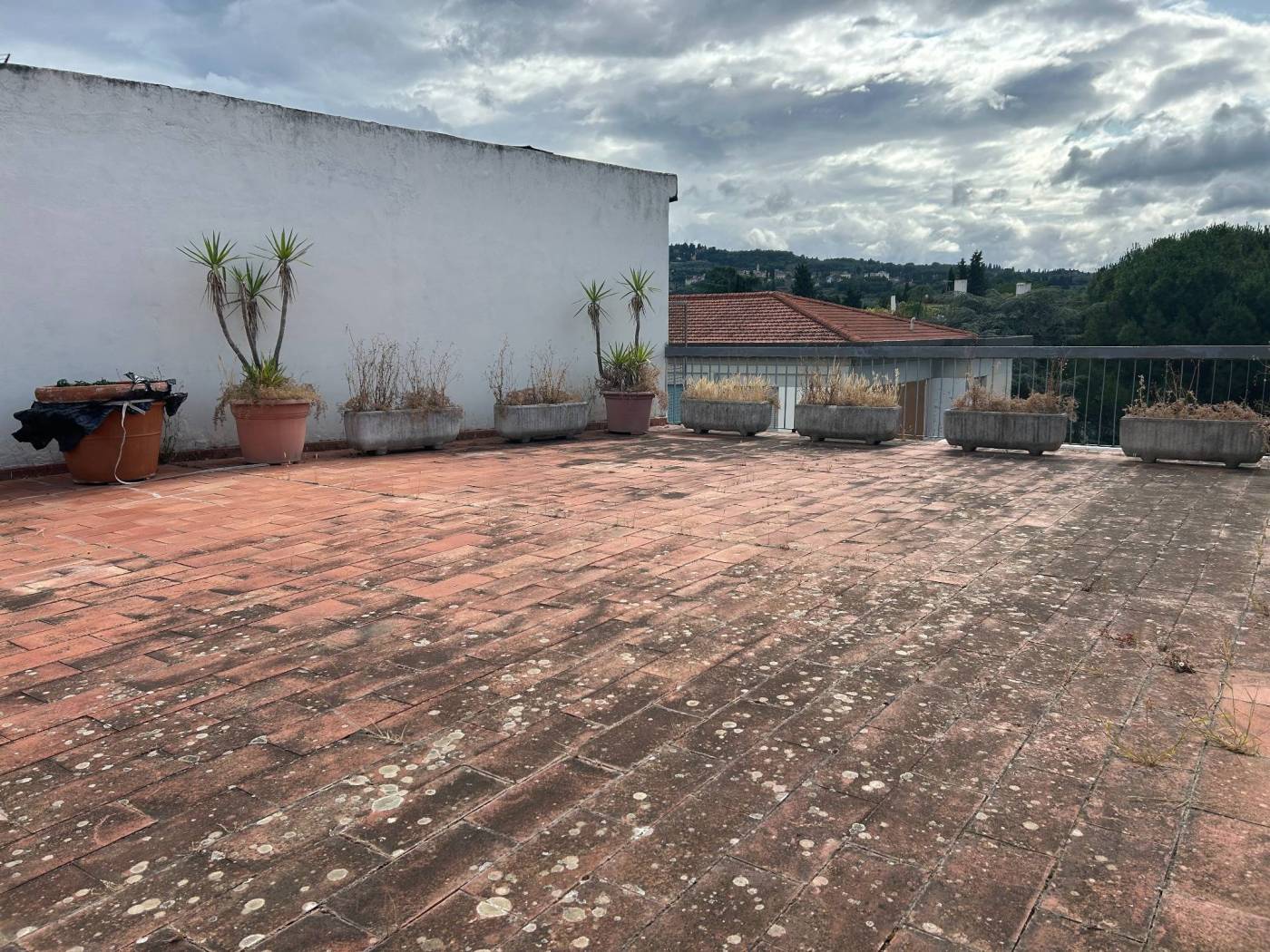 Terrazzo