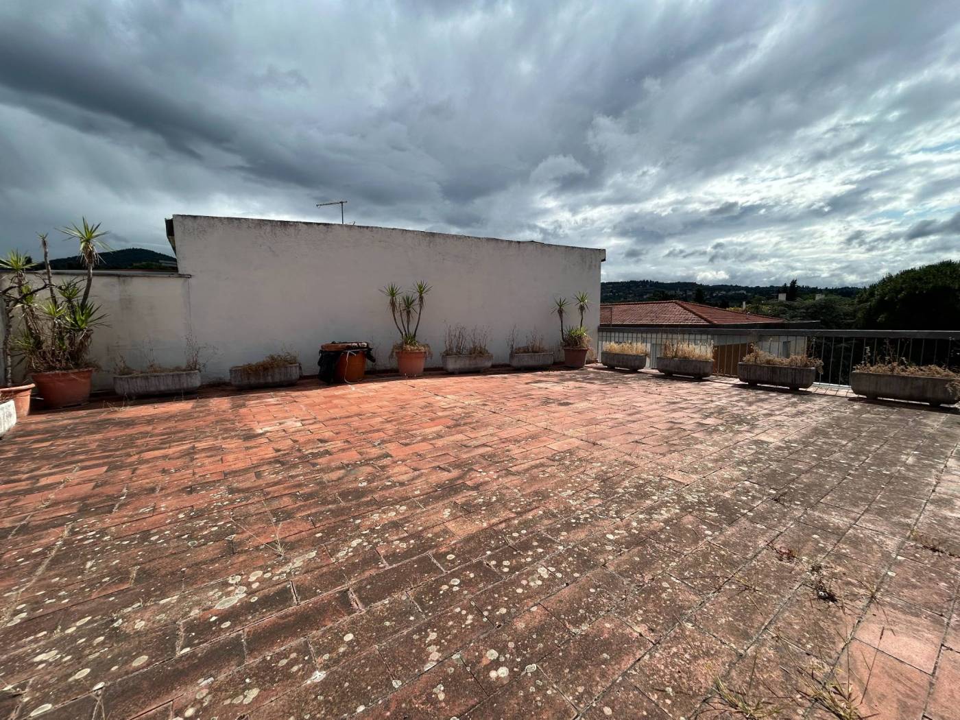 Terrazzo