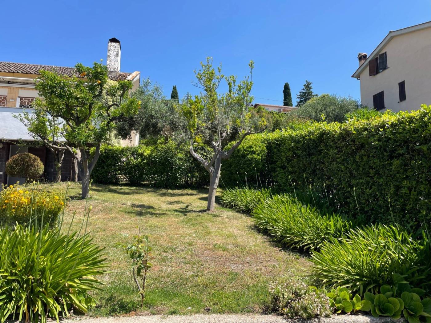 Giardino