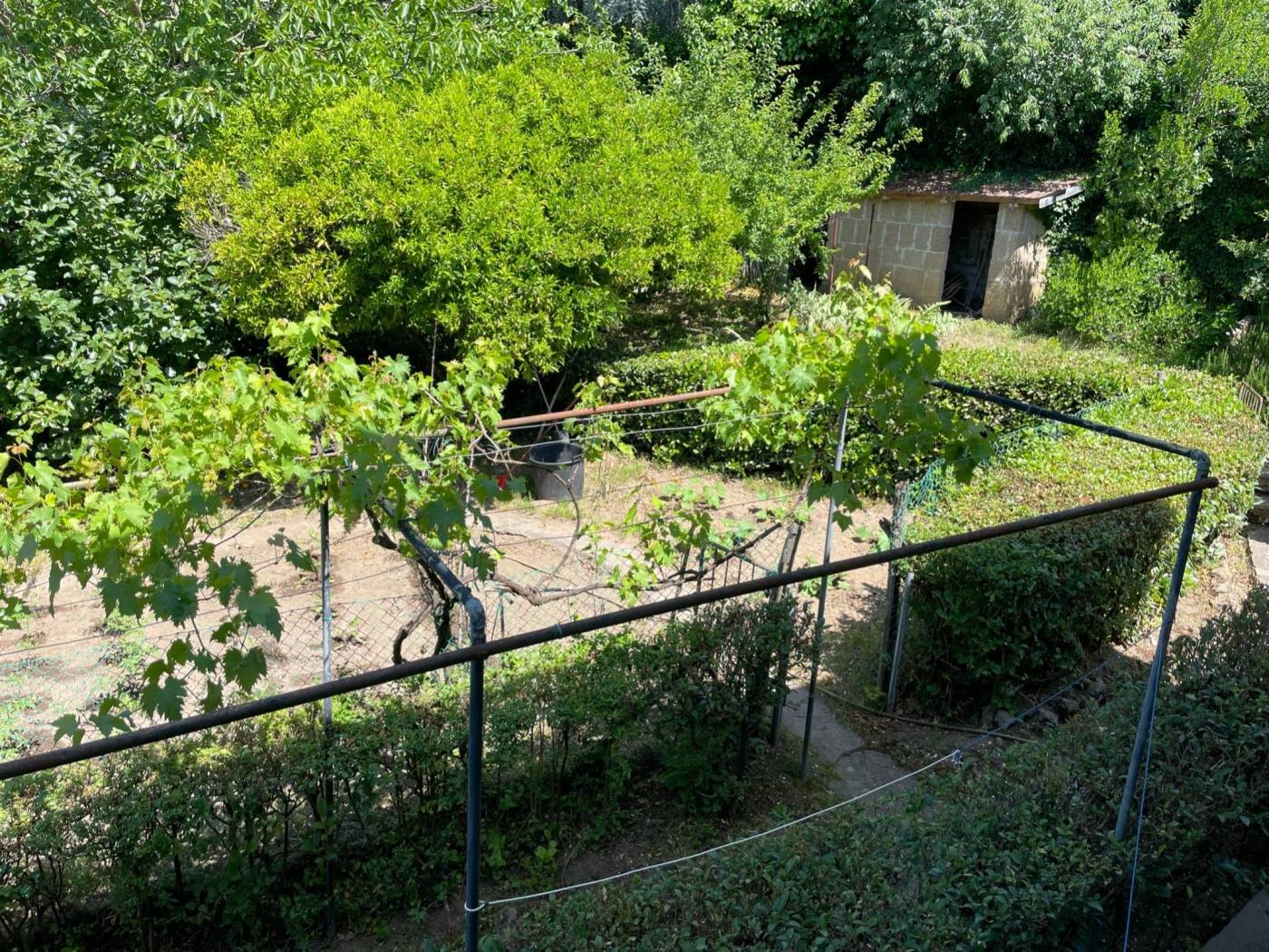 Terreno