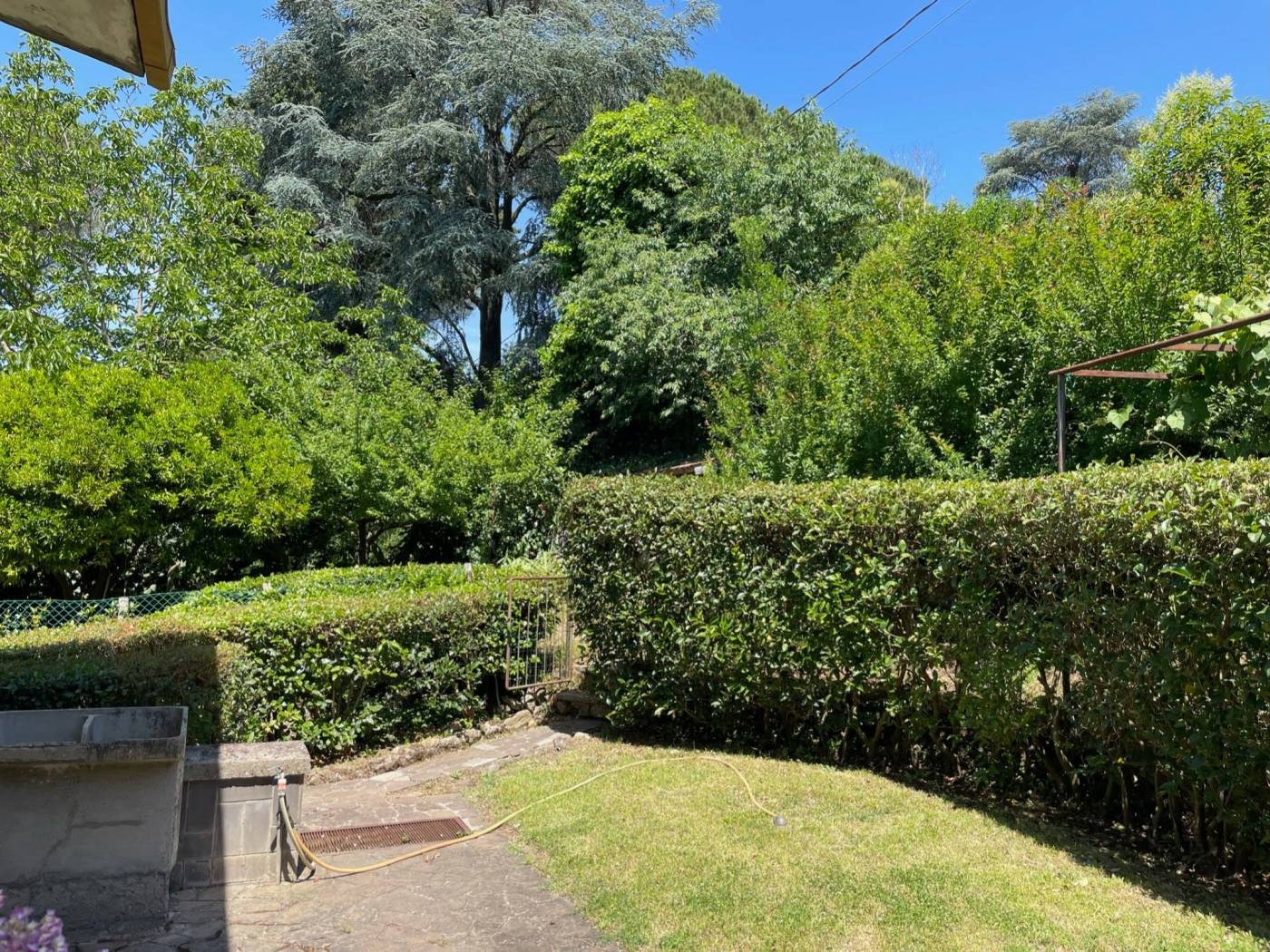 Giardino
