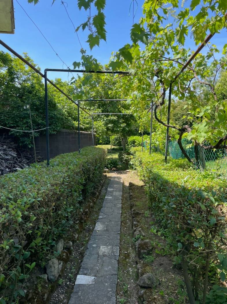 Giardino