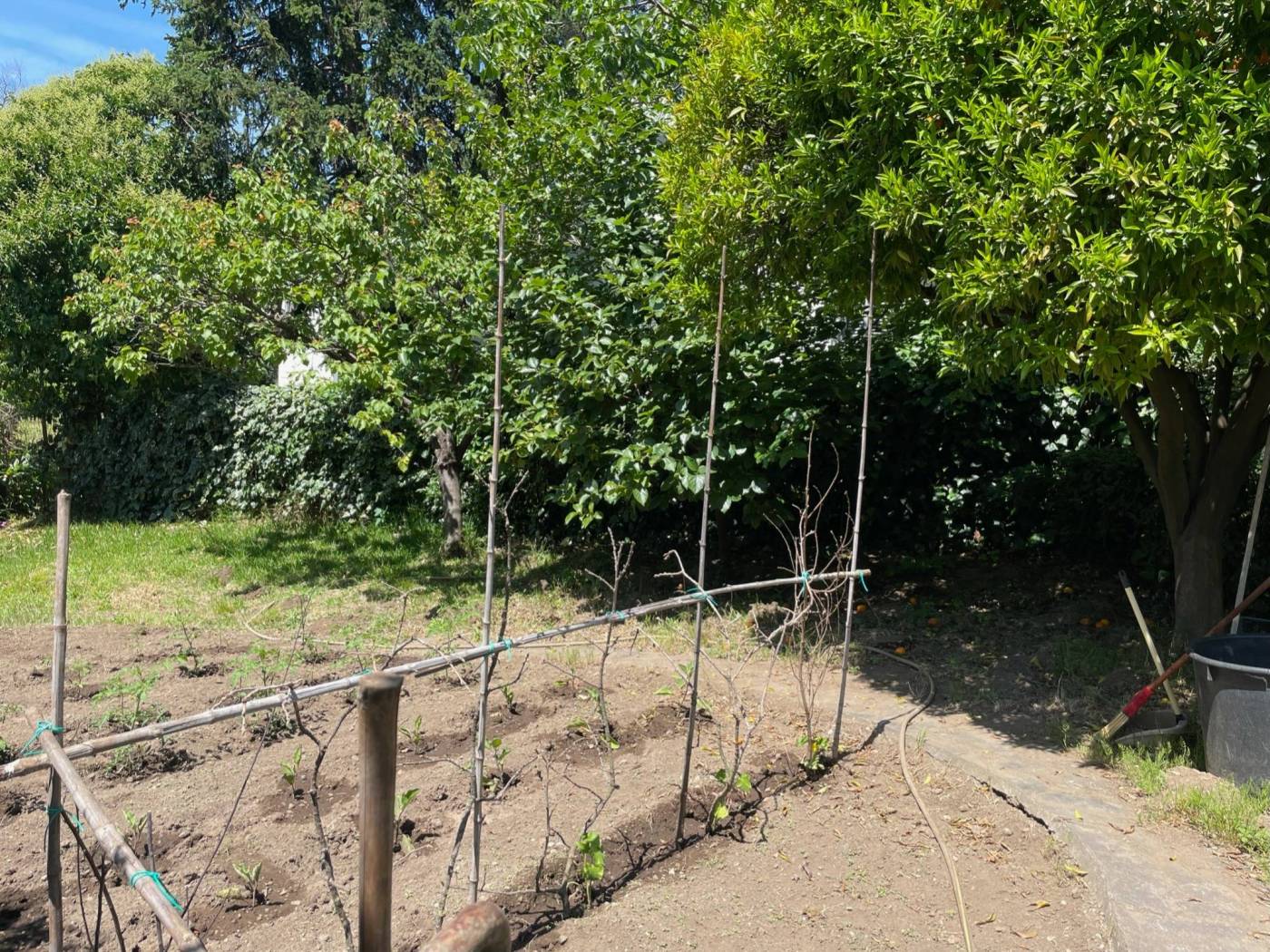 Terreno
