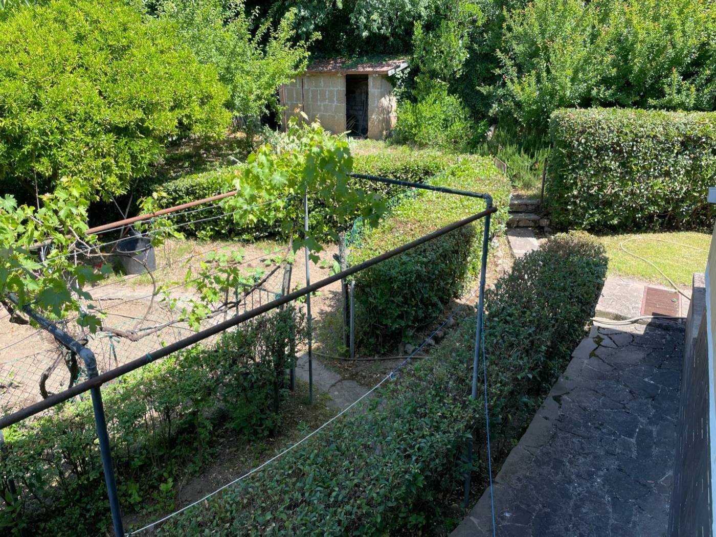 Terreno