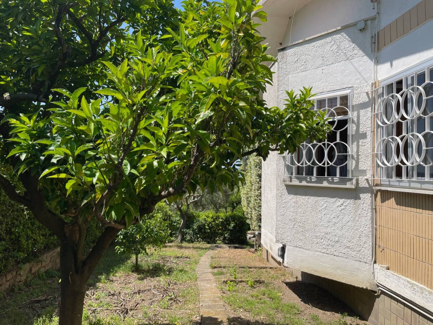 Giardino