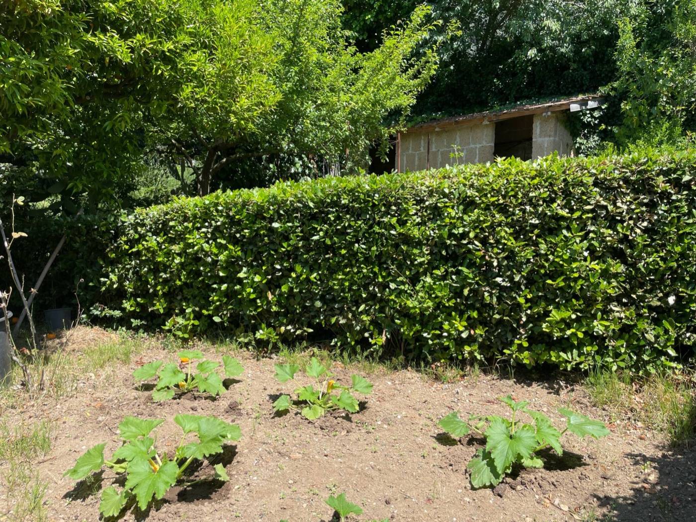 Terreno