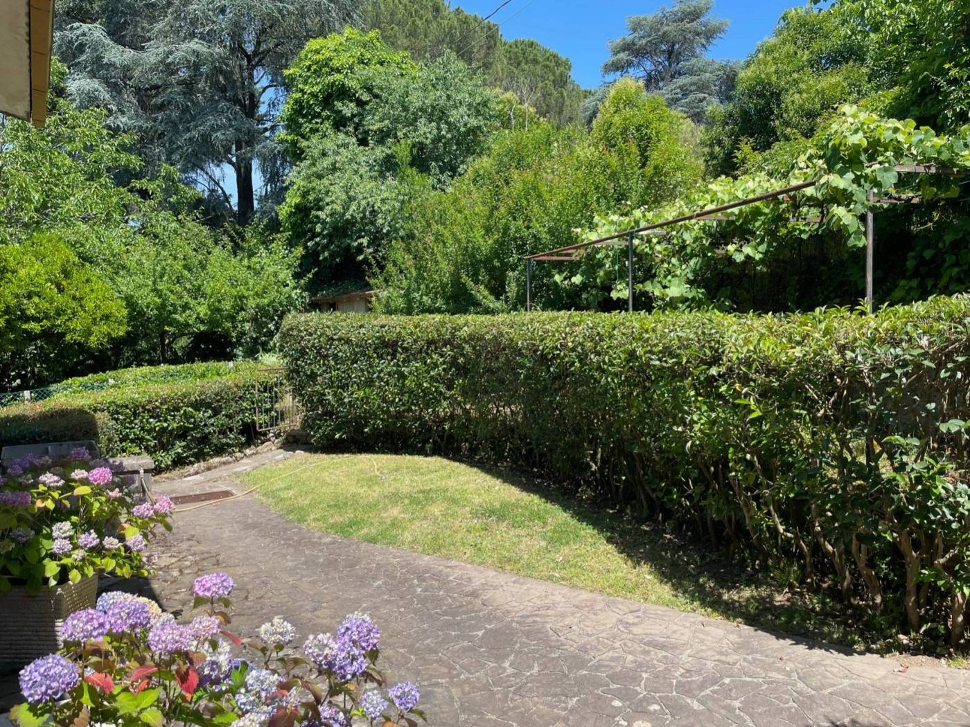 Giardino