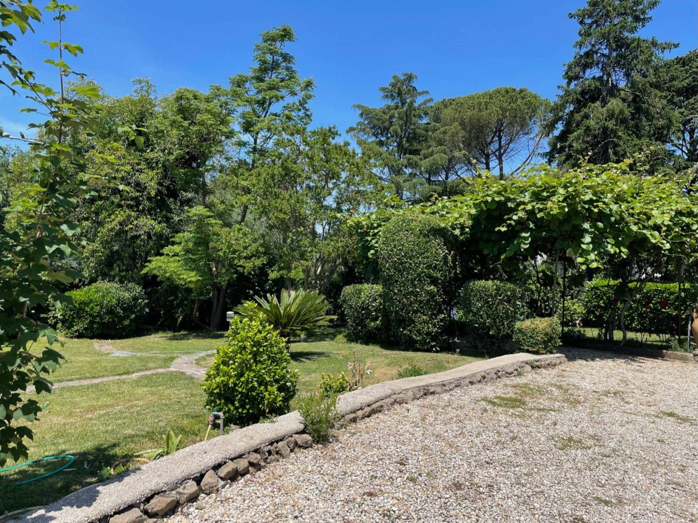 Giardino