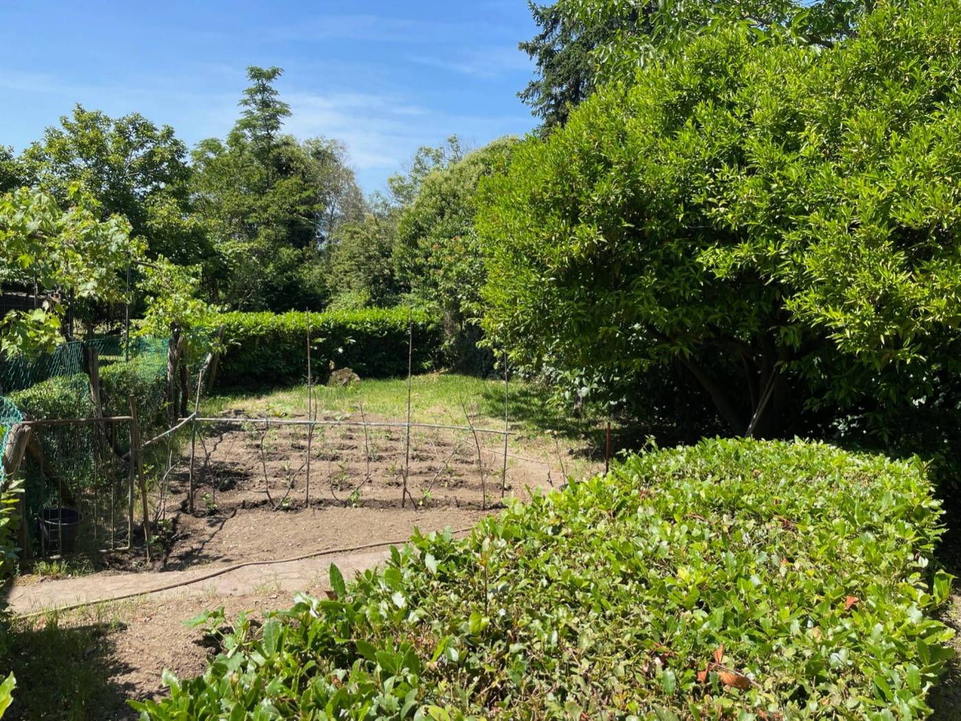 Terreno