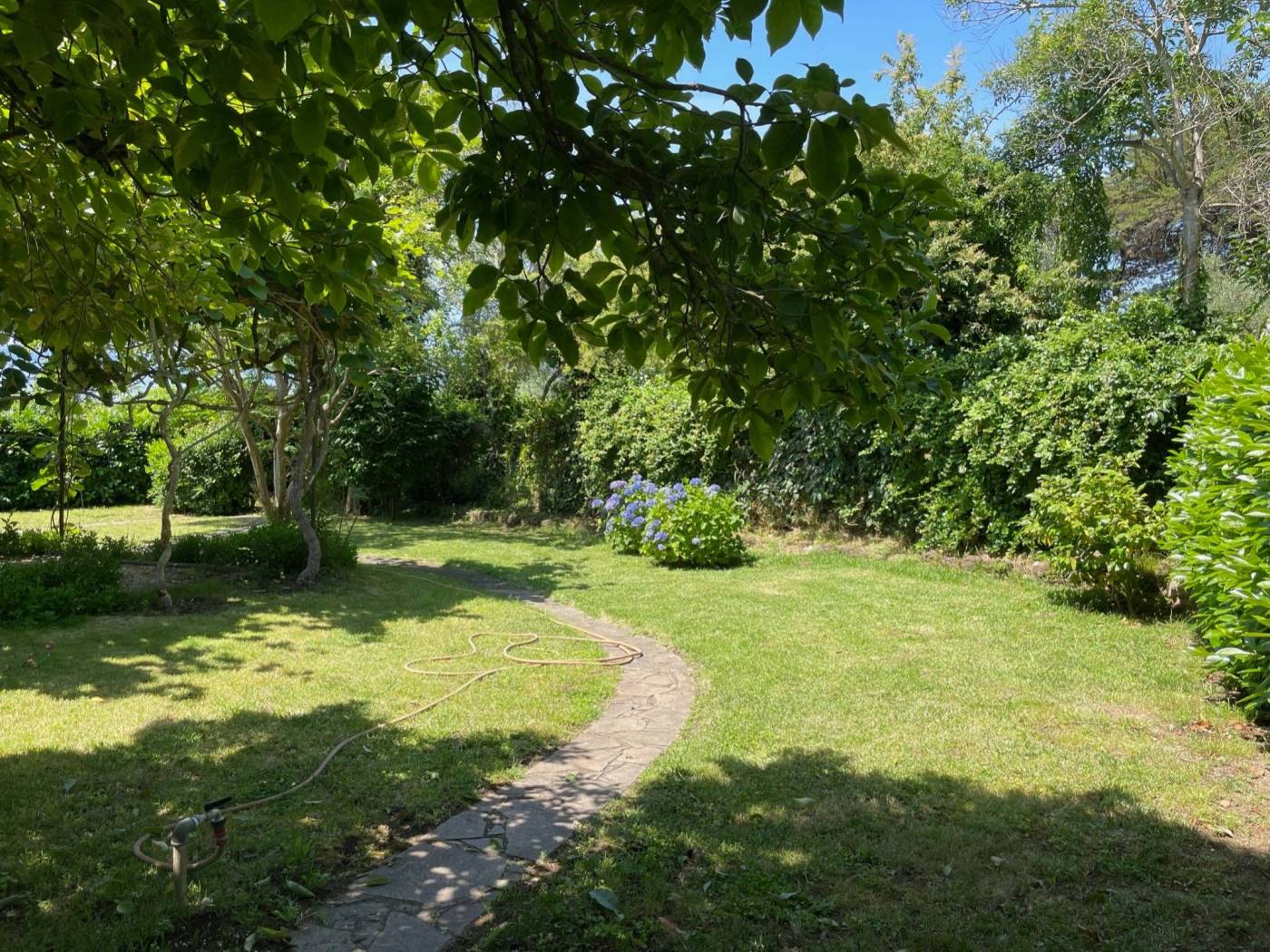 Giardino