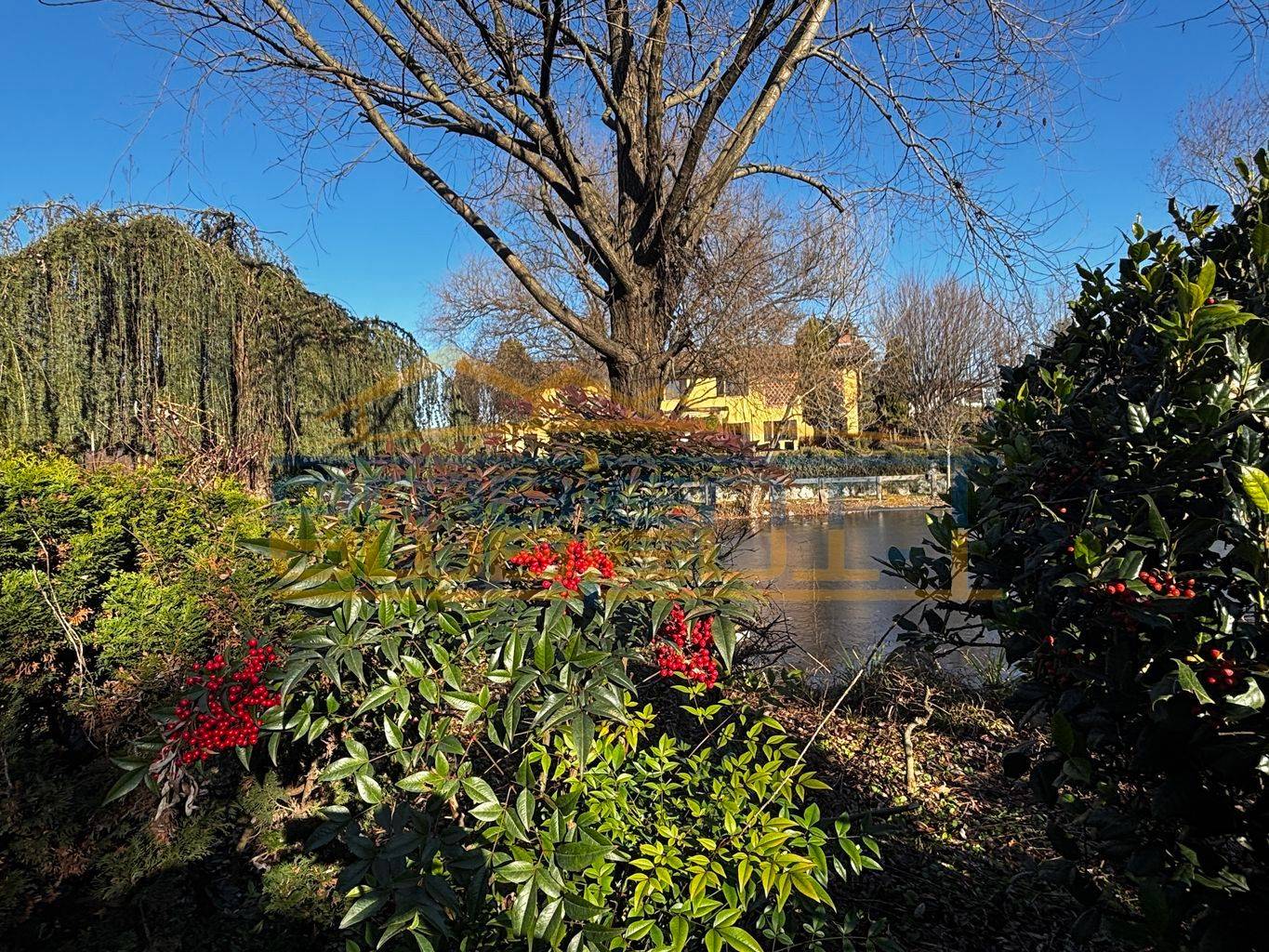 Giardino