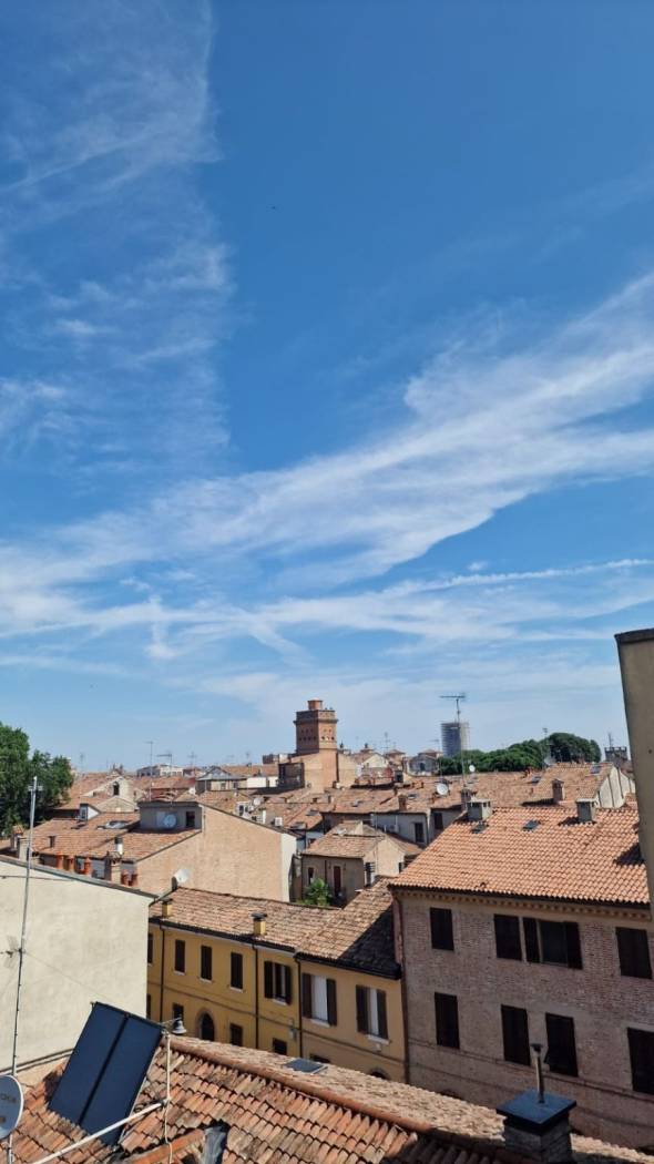 Vista