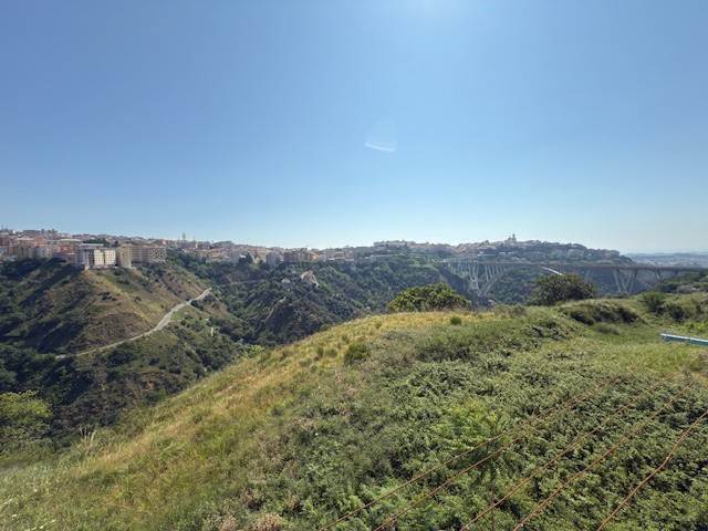 Vista