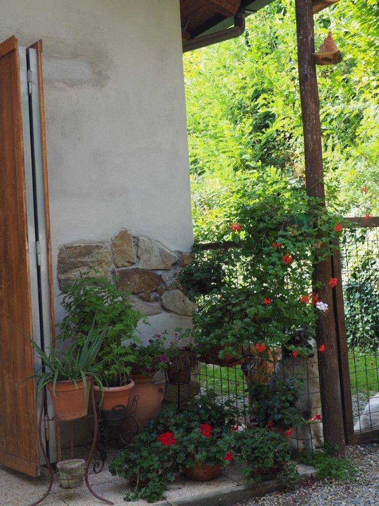 Dettagli