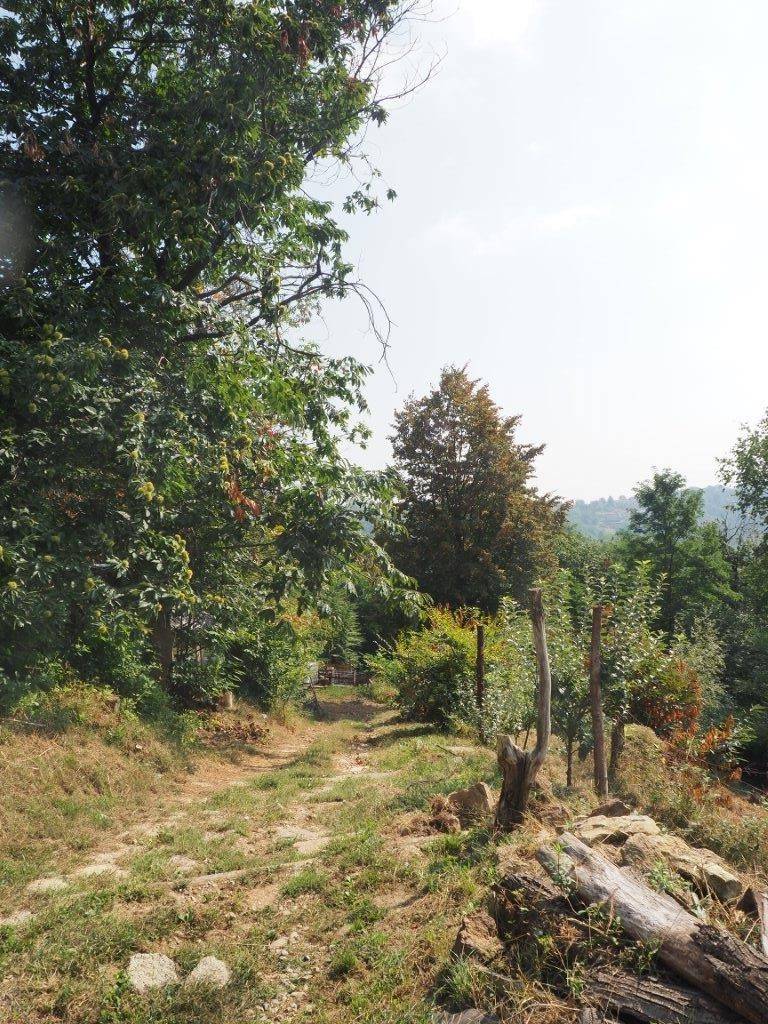 Terreno