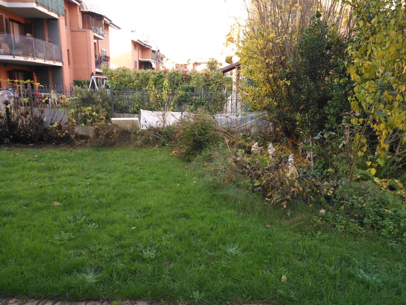 Giardino