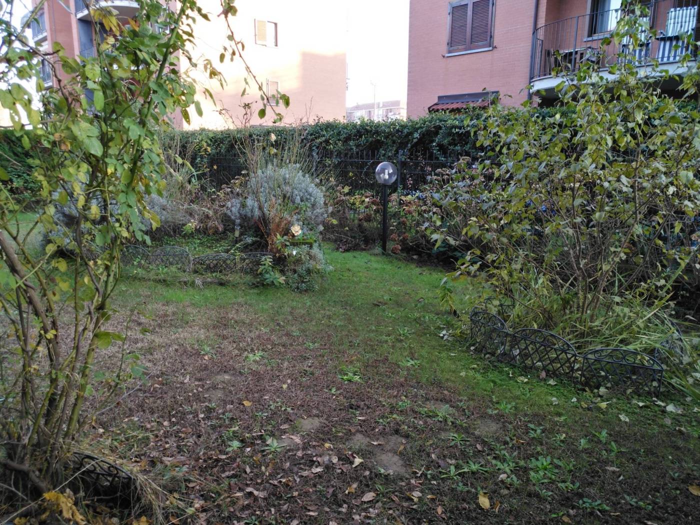 Giardino