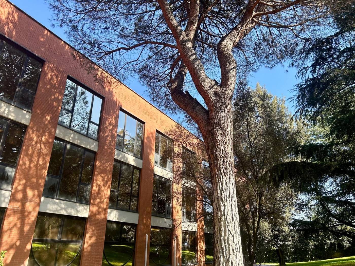 LABARO E PIU' PRECISAMENTE IN VIALE GEMONA DEL FRIULI CON ENTRATA ANCHE DA VIA SEQUALS LA BL CASE SRL PROPONE LA VENDITA DI UN UFFICIO DI 200 MQ IN 