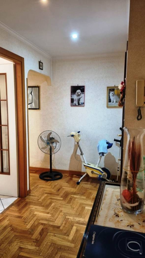 Studio Studio
