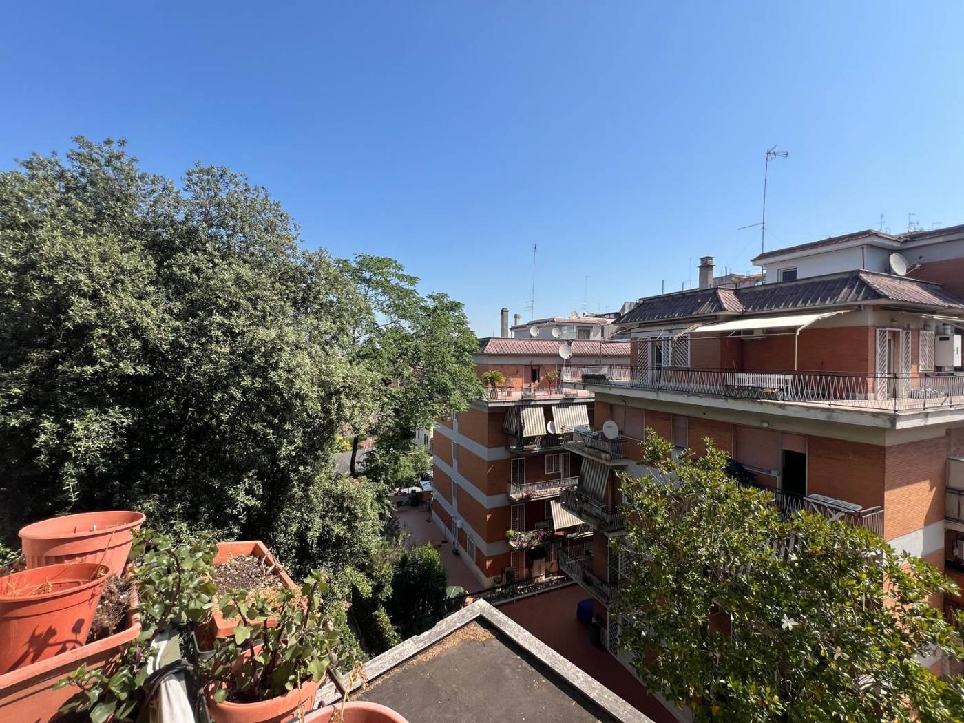Vista