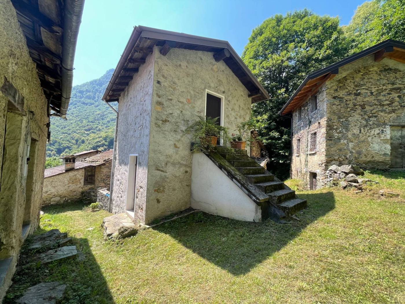 Giardino