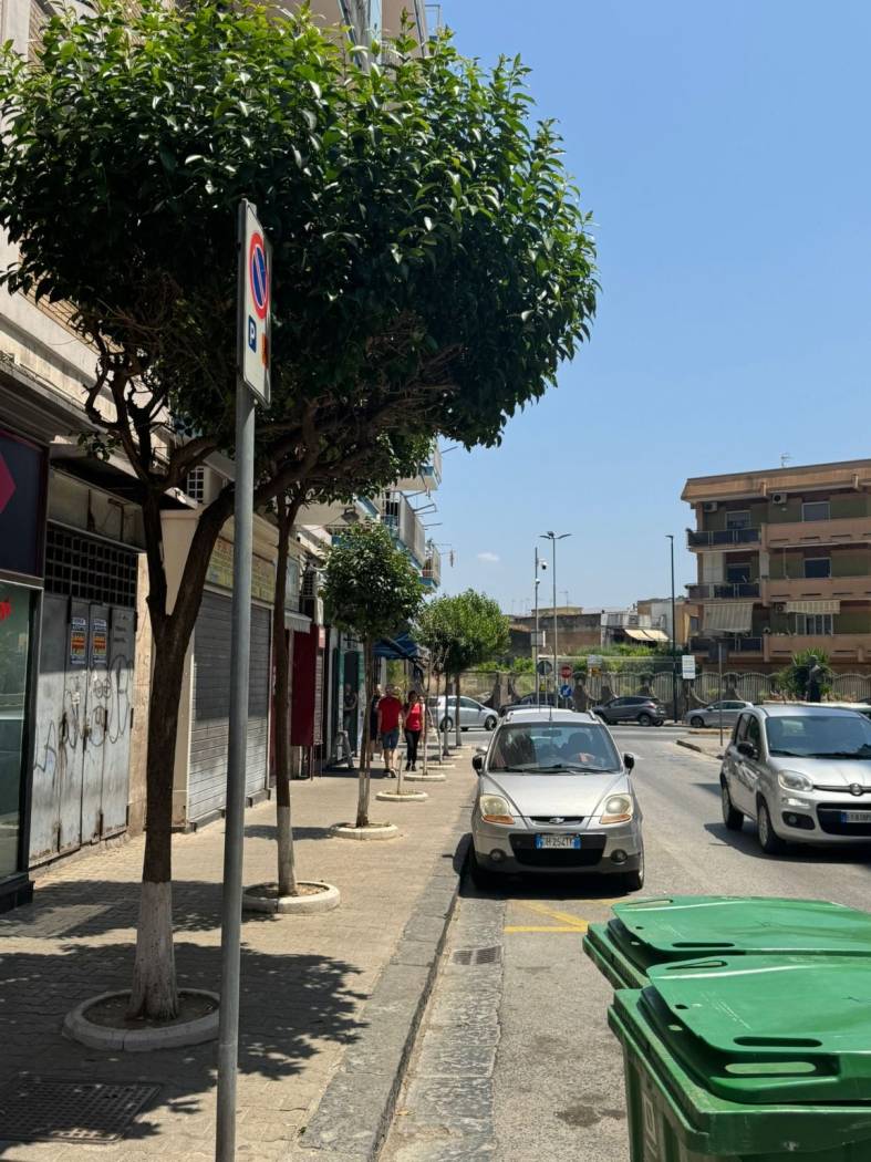 Zona