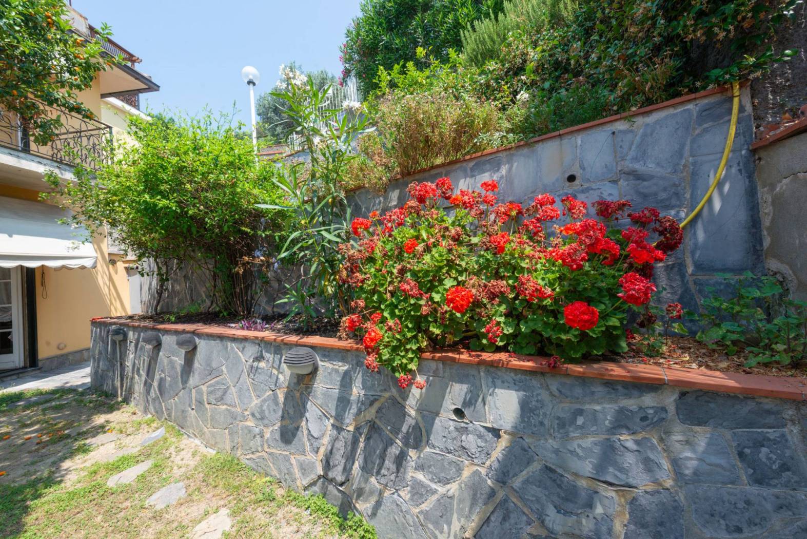 Giardino