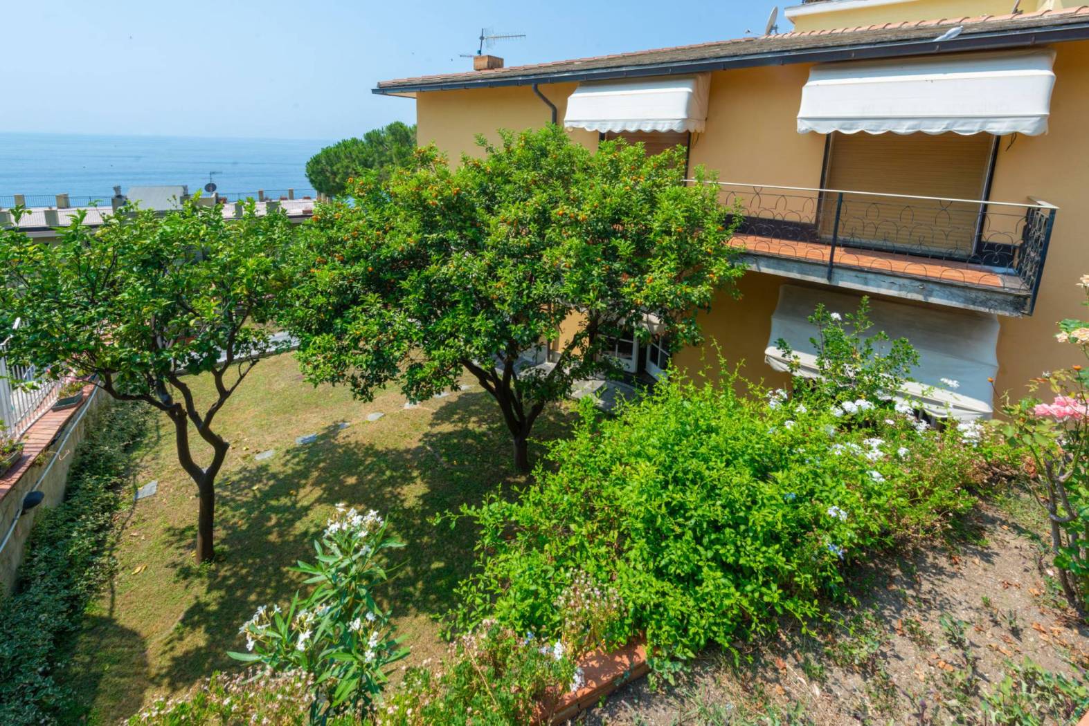 Giardino