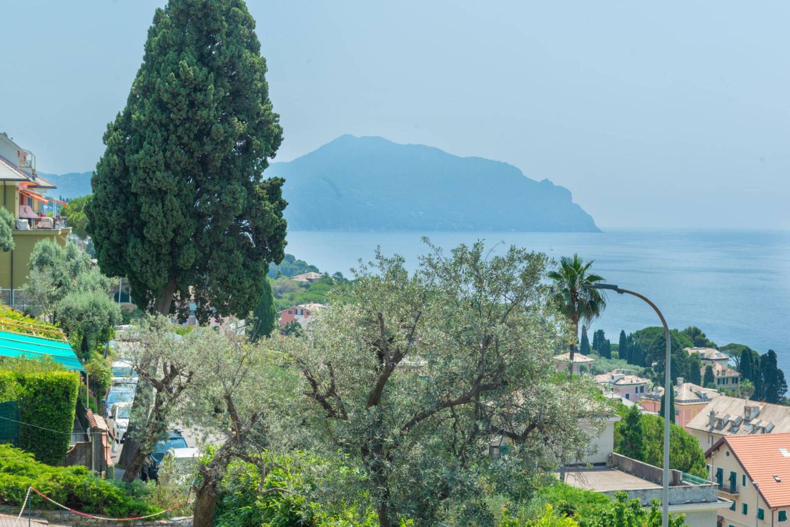 Vista