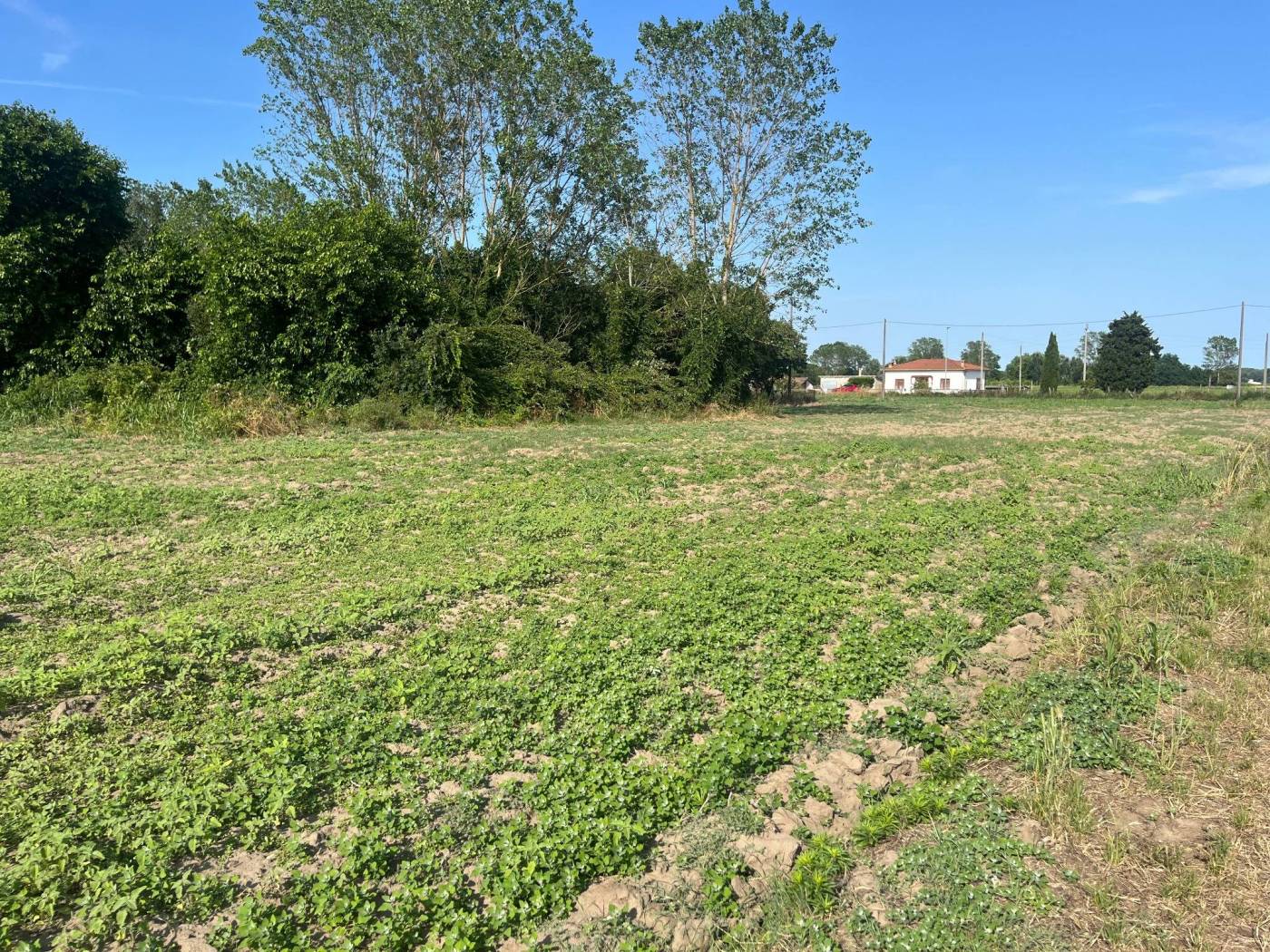 Terreno