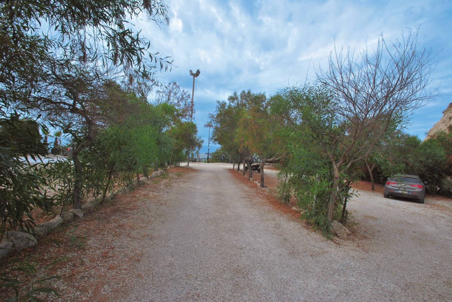 Terreno