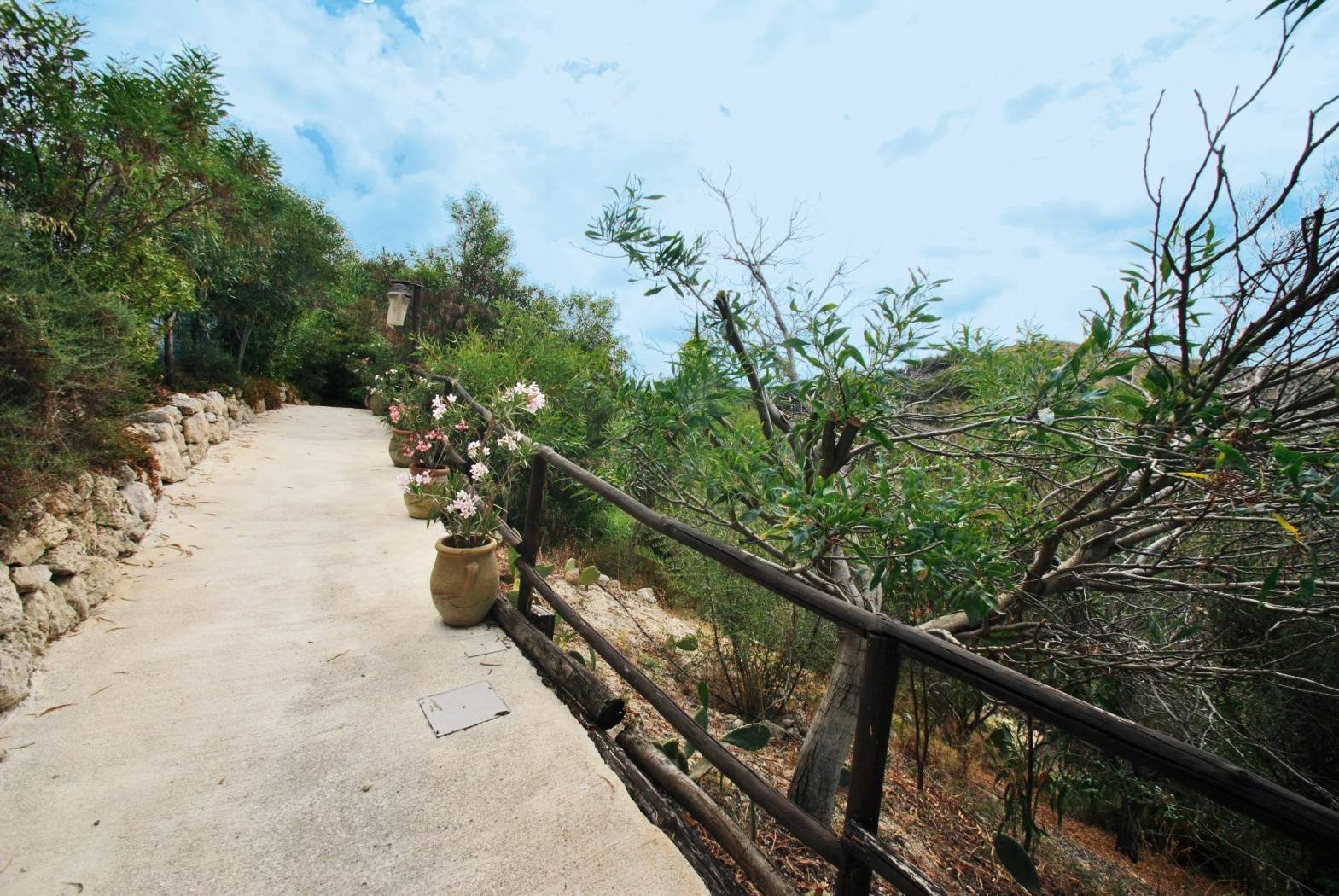 Giardino