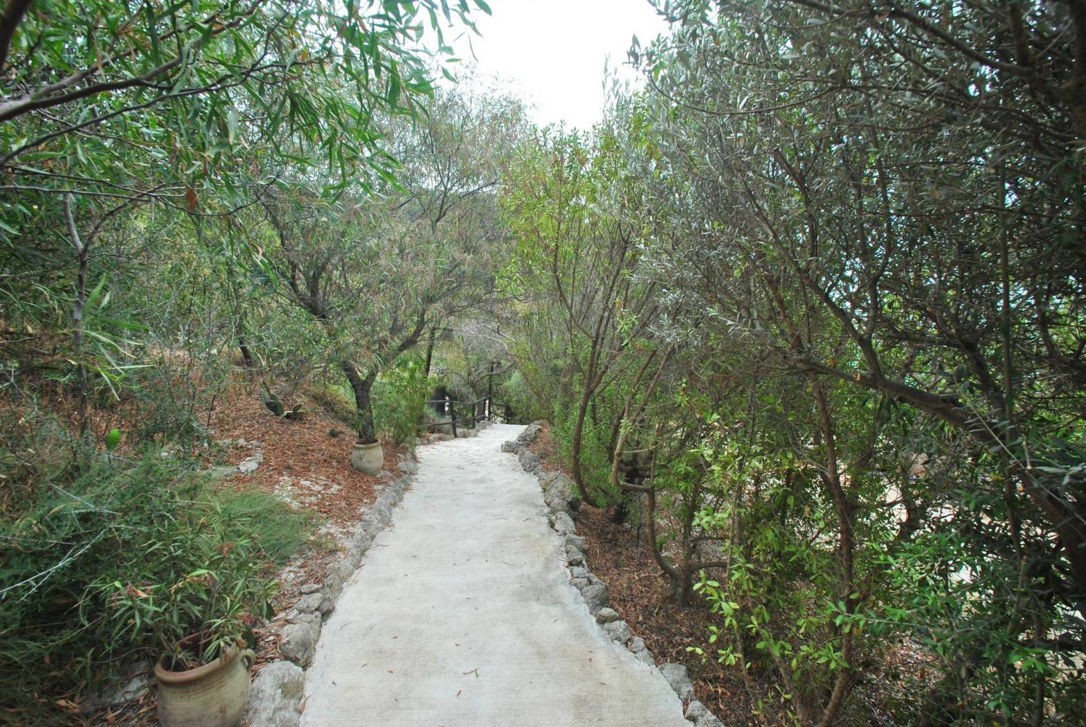 Terreno