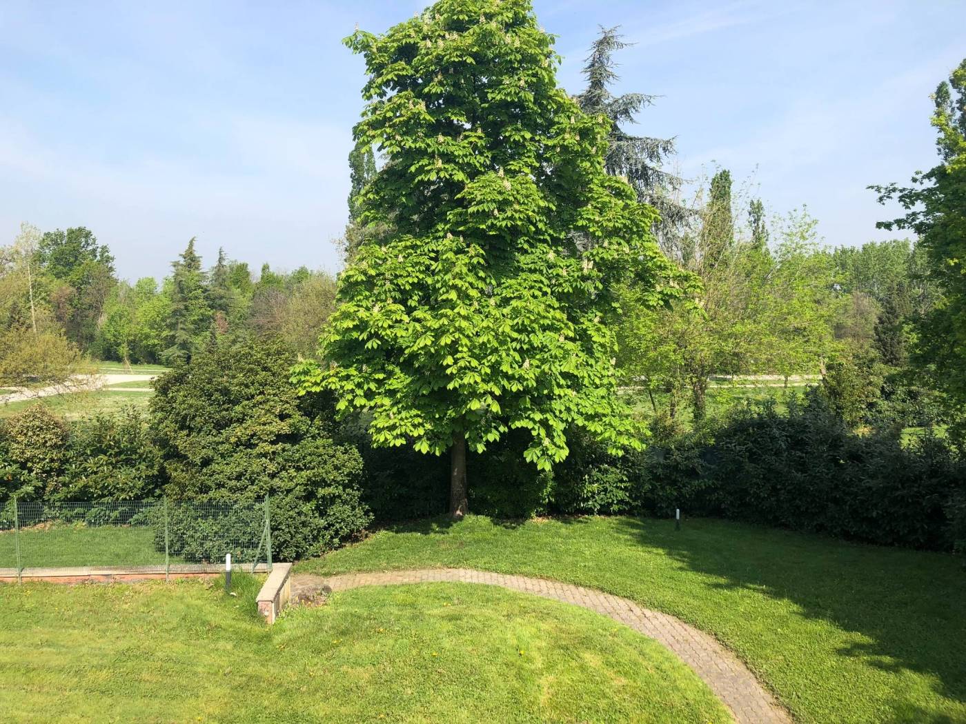 Giardino