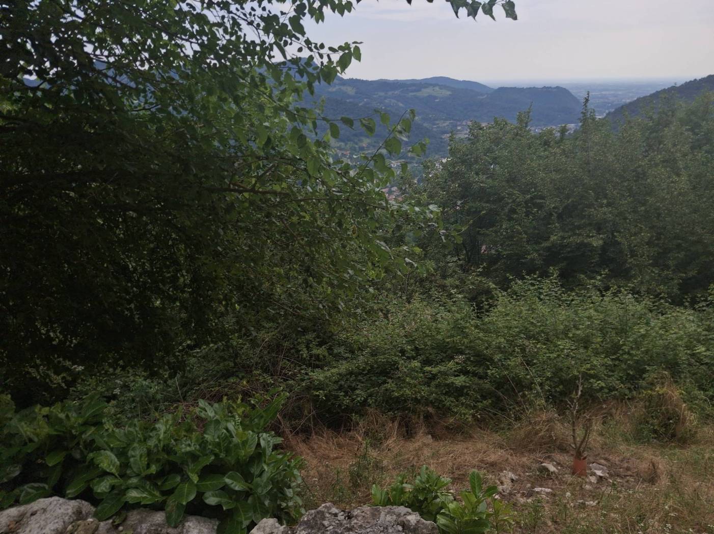 Terreno