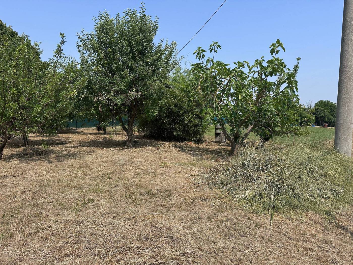 Terreno