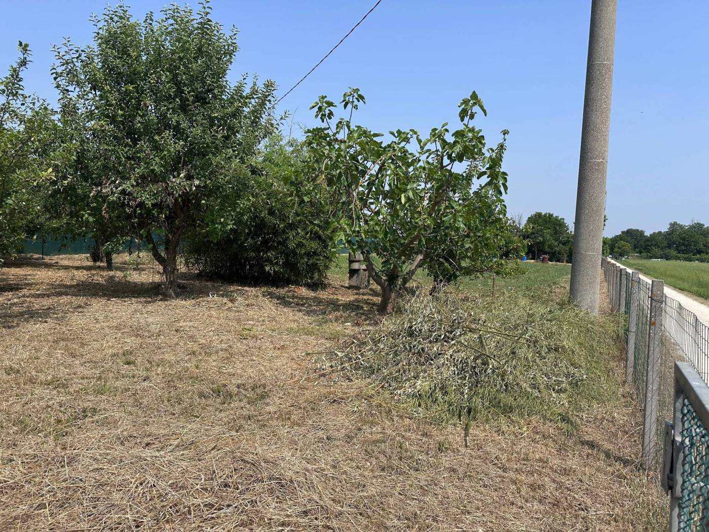 Terreno