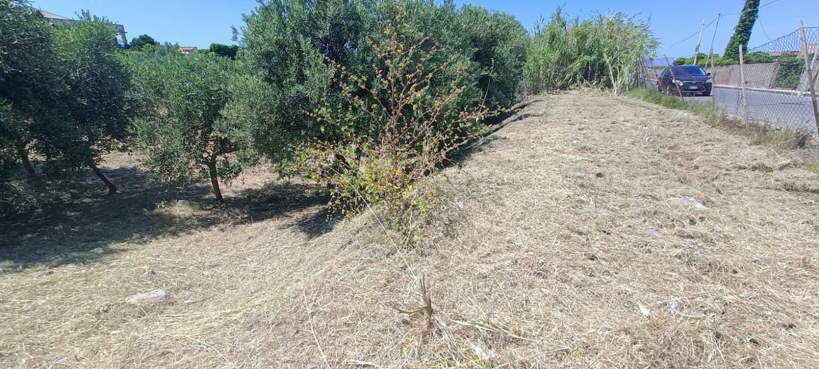 Terreno
