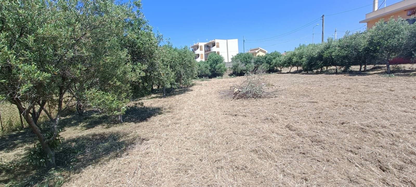 Terreno