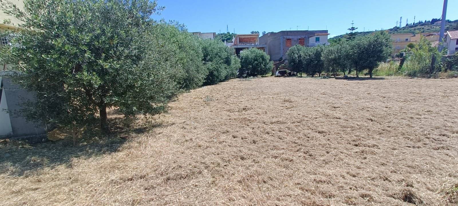 Terreno
