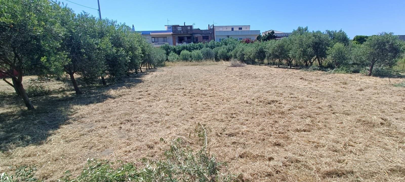 Terreno