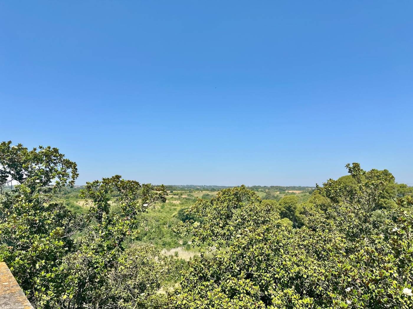 Vista
