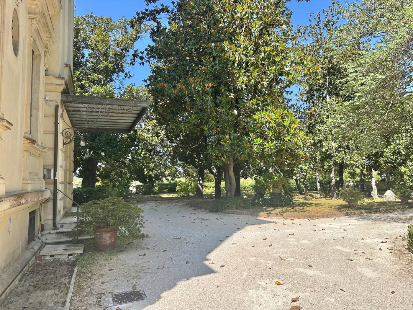 Giardino