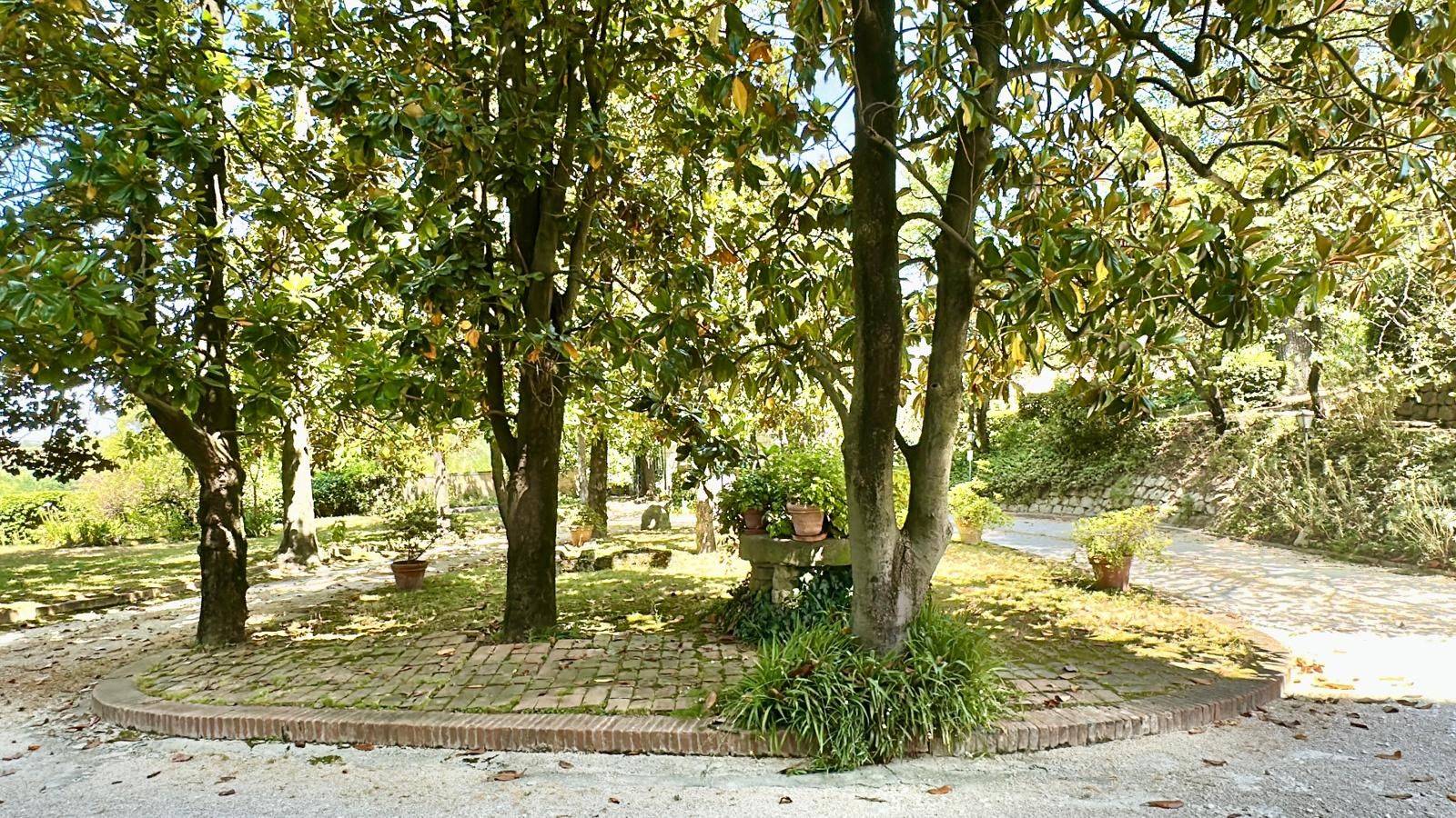 Giardino